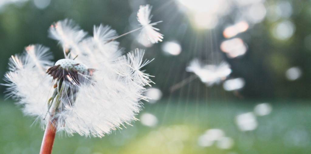 L'air, élément naturel gardien invisible